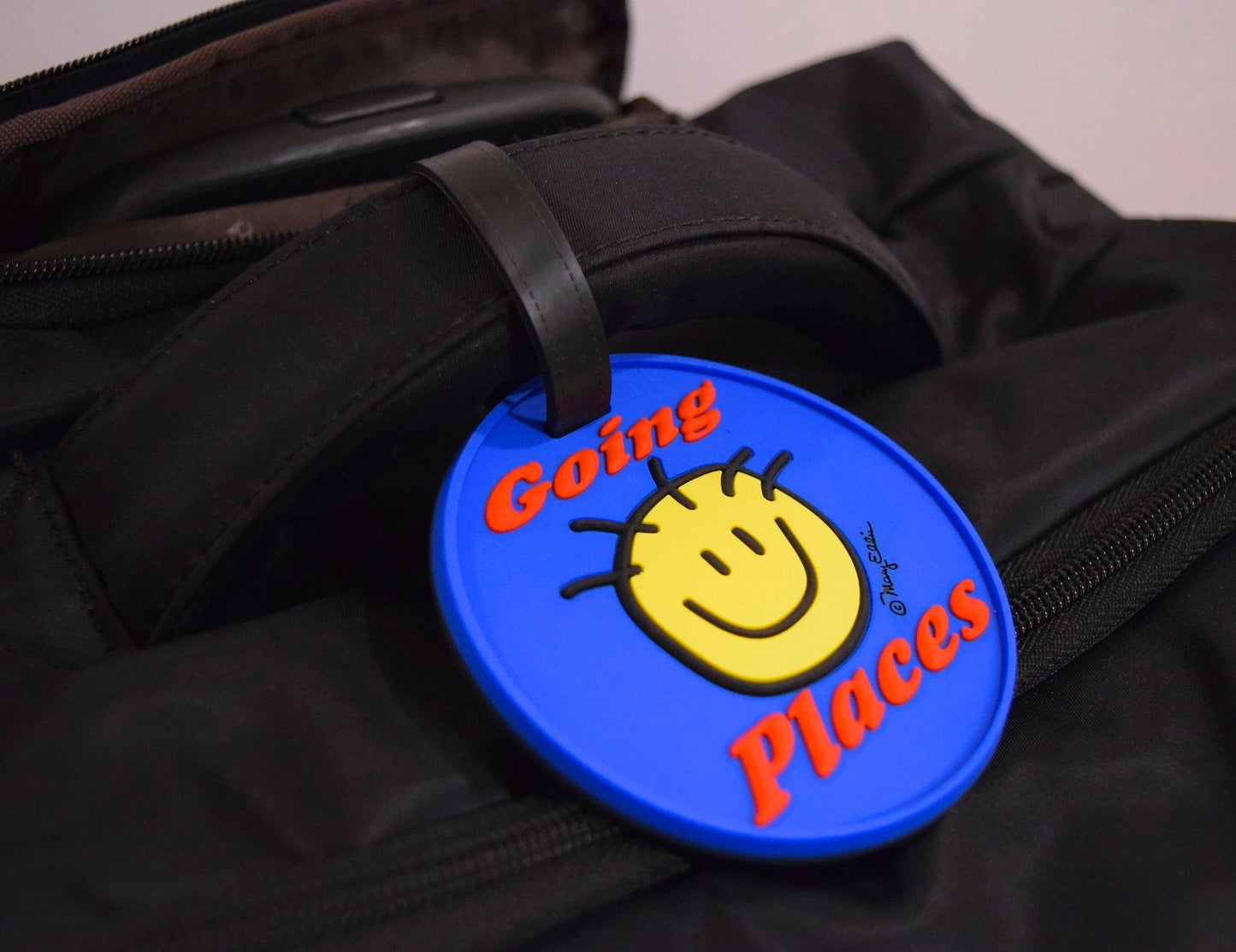 Fun Luggage Tags - click to see options