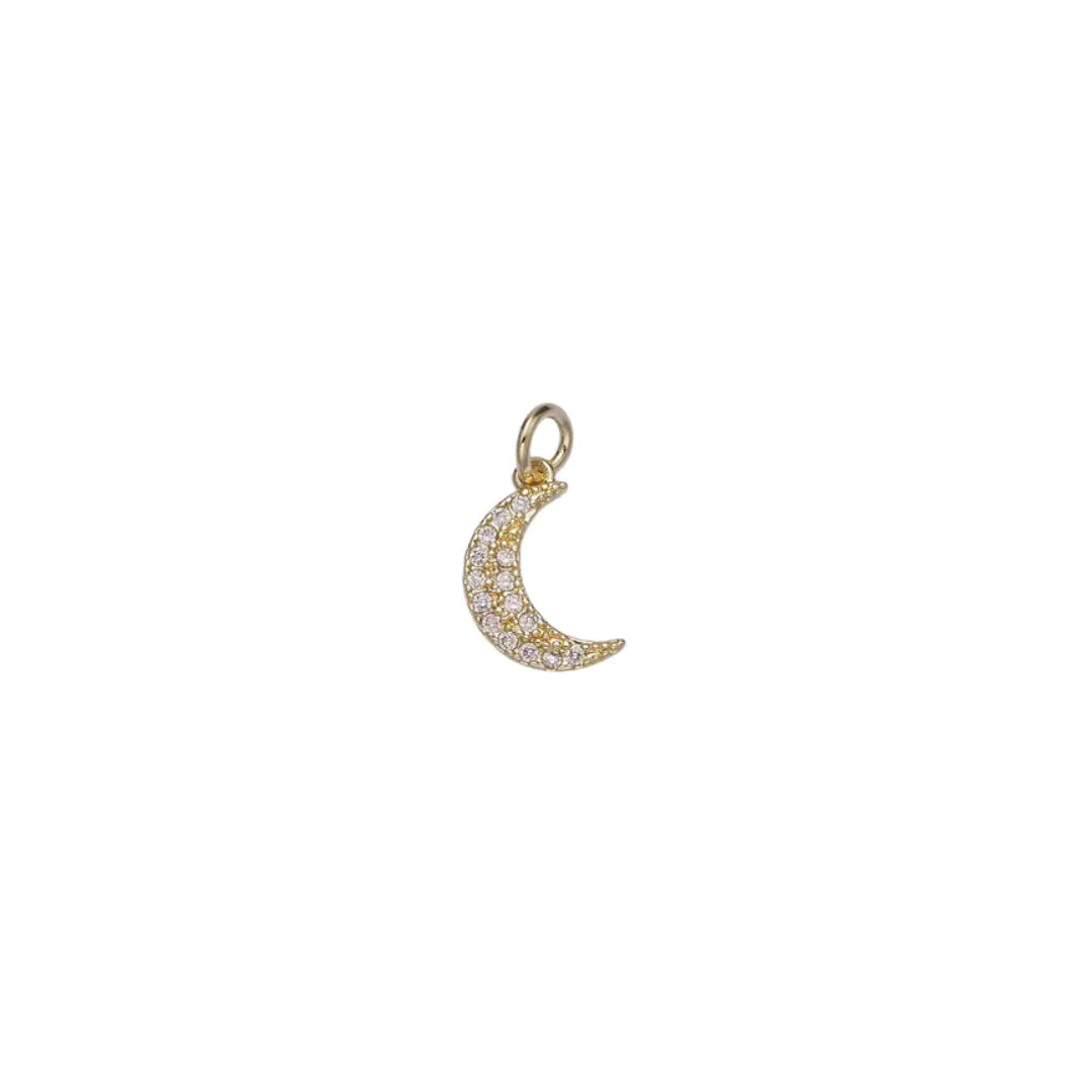 Charms for Charm Bar Gold- click to see options